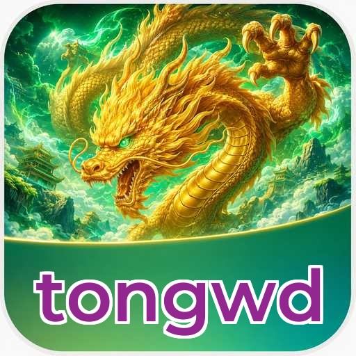 Security Audit - tongwd Comprehensive Analysis